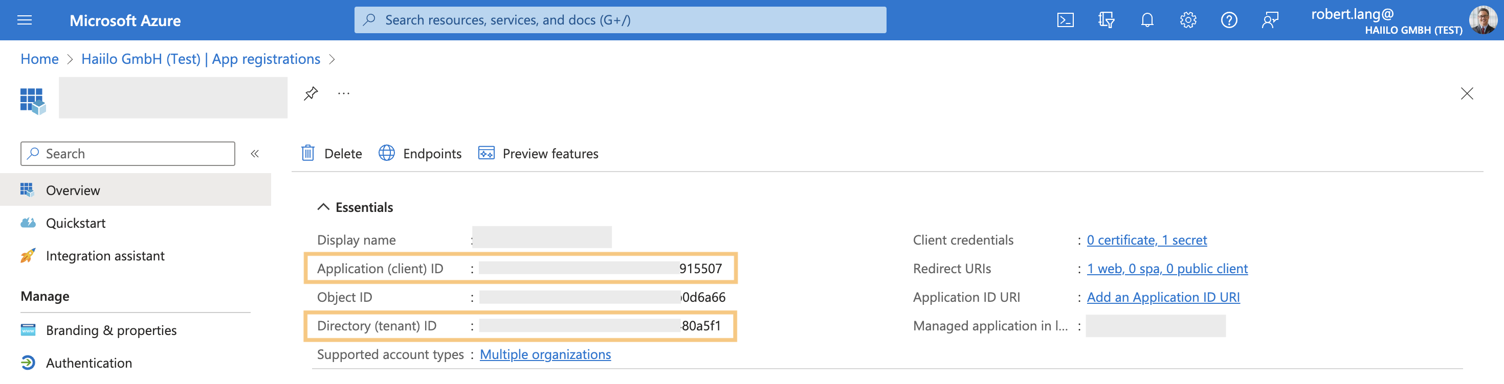 App-Registrierungsübersichtsseite in Microsoft Azure.png